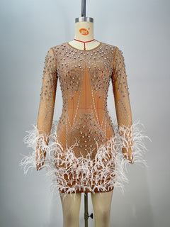 Fashionable Beaded Feather Round-Neck Dress