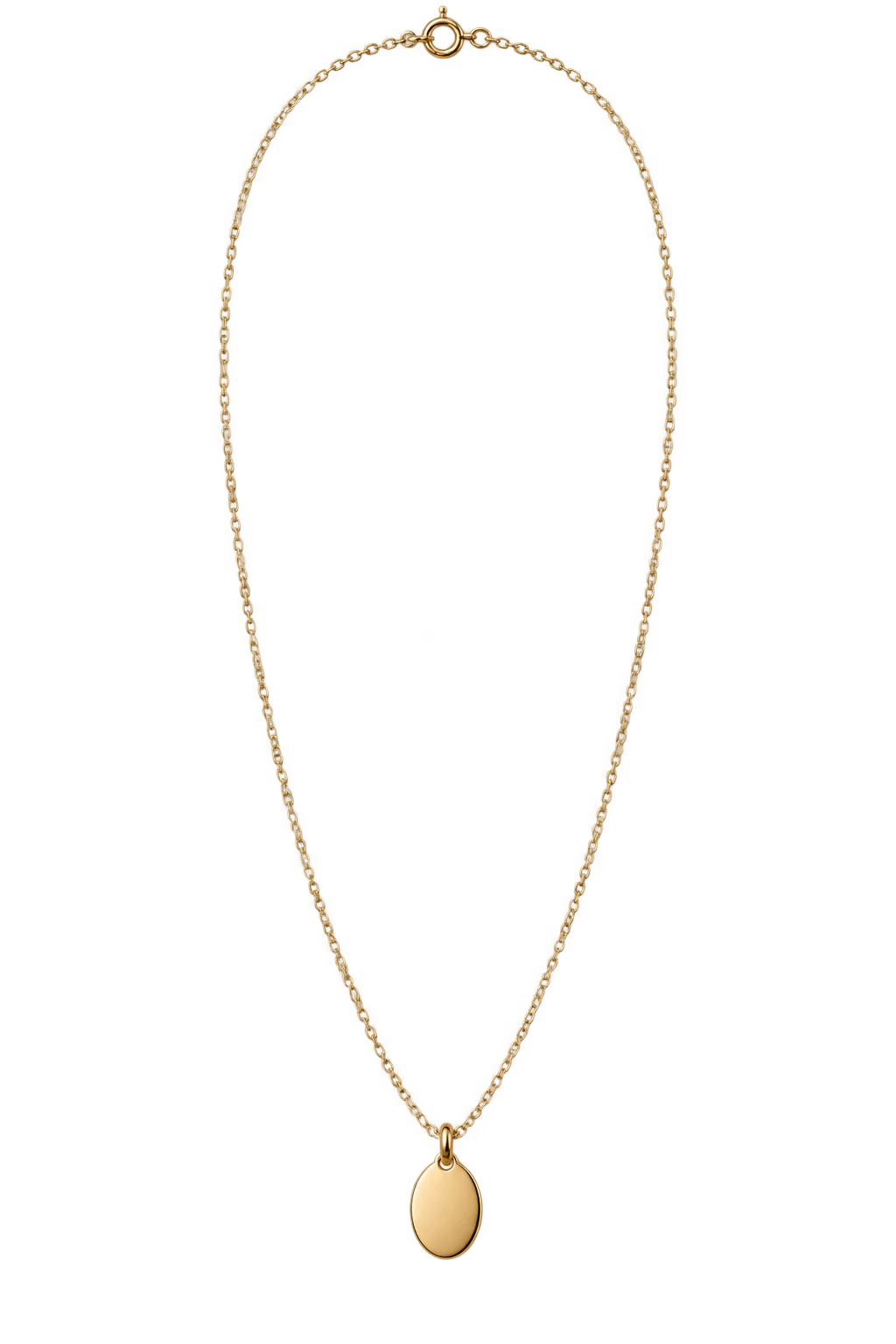 Editorial fine chain and oval pendant necklace concept